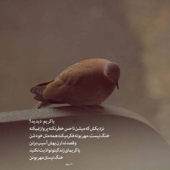 دانلود آهنگ بماند (ریمیکس رپ دپ) از تتلو، ناجی، علی سورنا، ایپکور، بهرام